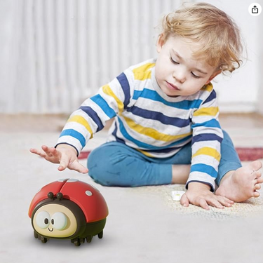 Ladybug Wonder Blower | Play and Learn with Balls - Educational Toys for Children